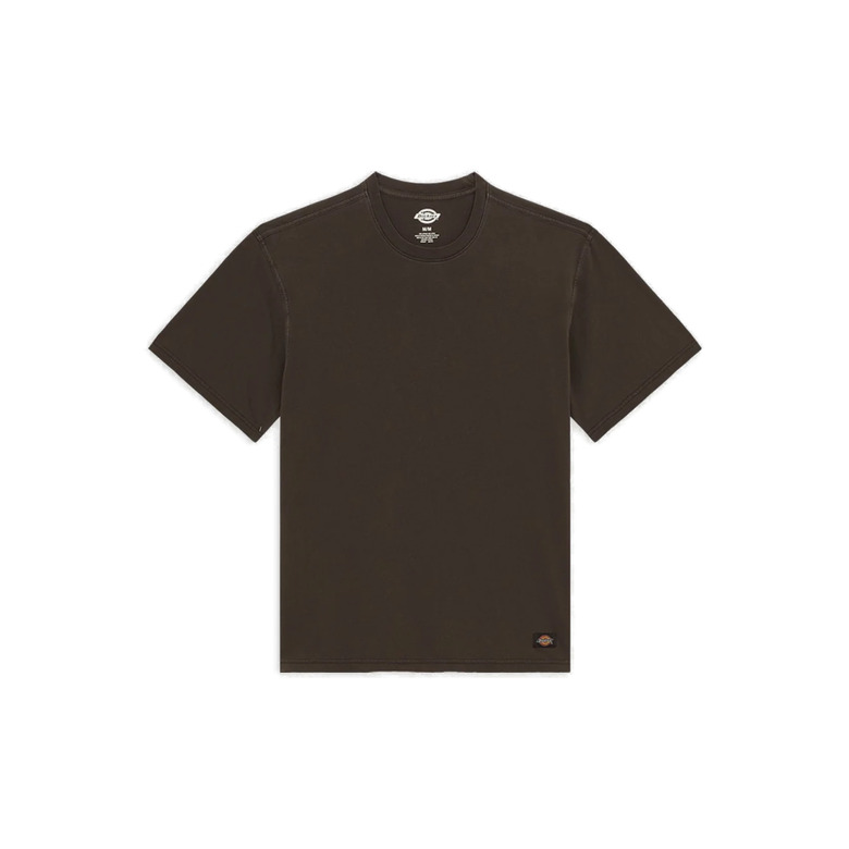 Dickies t-shirt schwarz 1
