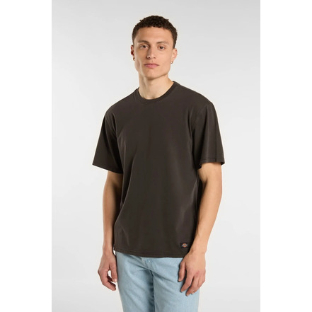 Dickies t-shirt zwart