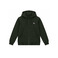 Dickies hoodie gris 1