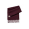 Carhartt Wip echarpe bordeaux 1