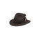 Stetson hat brown 1