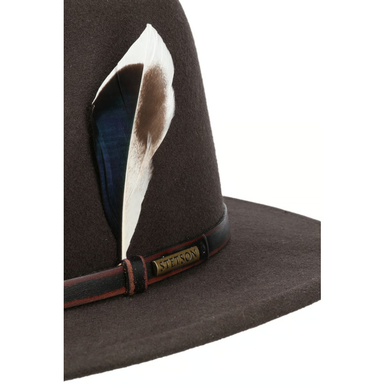 Stetson hat brown 3