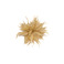 Les Cordes broche ecru