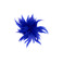 Les Cordes broche blau