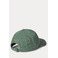 Ralph Lauren pet groen 2
