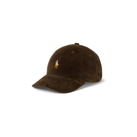 Ralph Lauren pet bruin