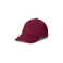 Ralph Lauren pet bordeaux 1
