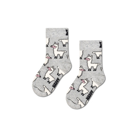 Happy Socks socks grey