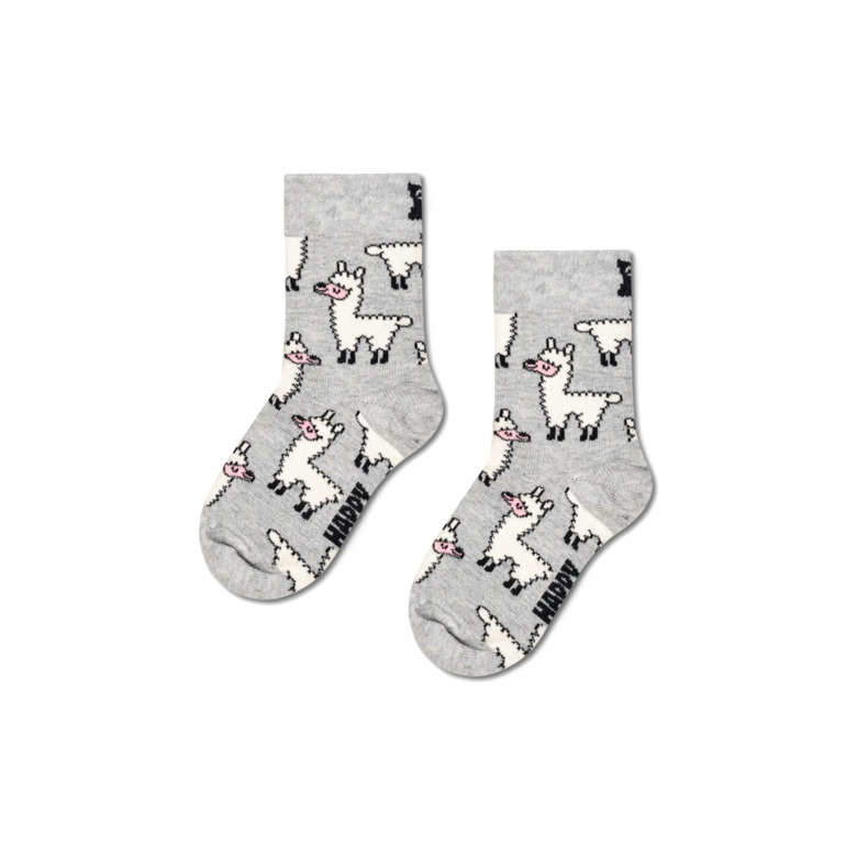 Happy Socks kousen grijs 1