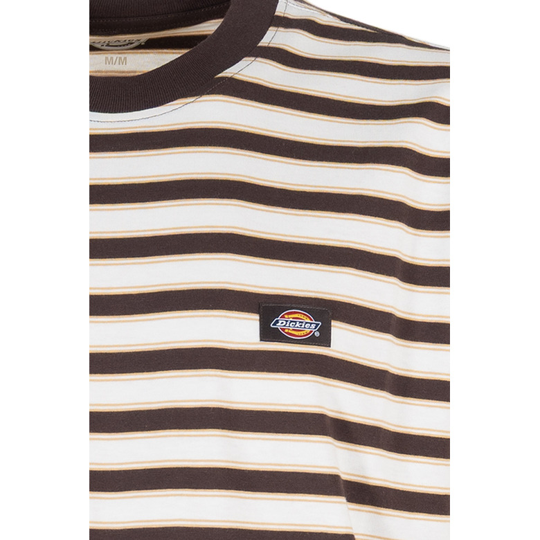 Dickies t-shirt brun 2