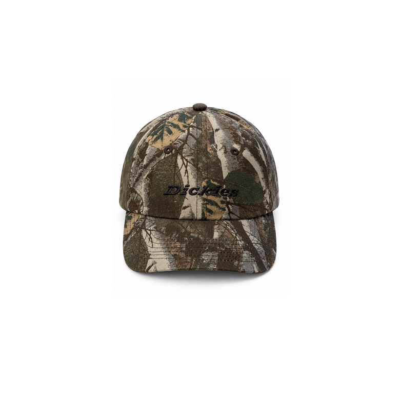 Dickies cuasquette vert 1