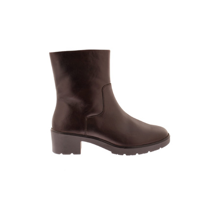 Solidus bottillons brun