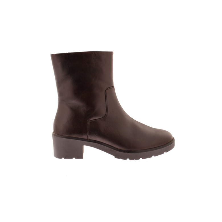 Solidus bottillons brun 1