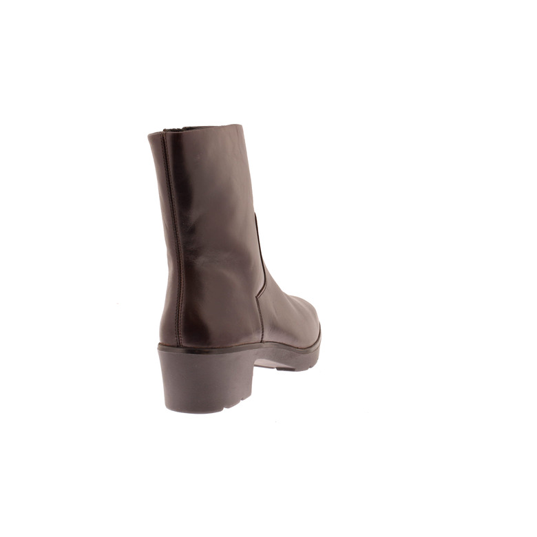 Solidus bottillons brun 4