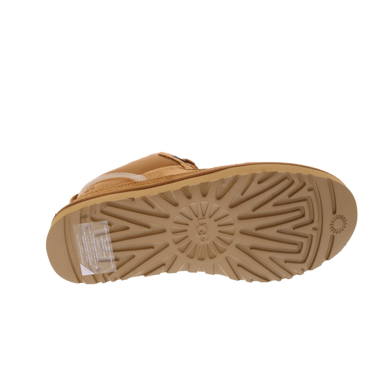 Ugg sneakers camel 5