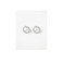 Dnsk boucles d'oreilles argent 1