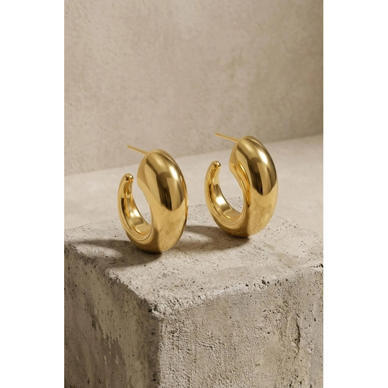 Dnsk boucles d'oreilles or 2